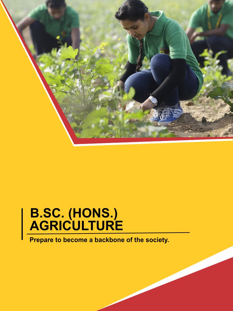 B. Sc.(Bachelor of Science)honors in Agriculture